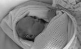 hypnobirth baby